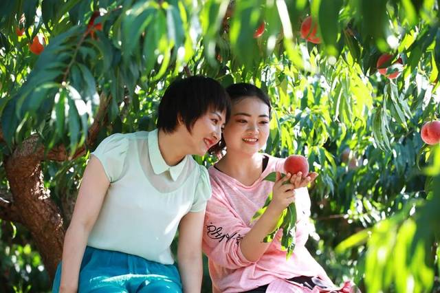 熔岩巧克力 熔岩巧克巧克边缘微微开裂