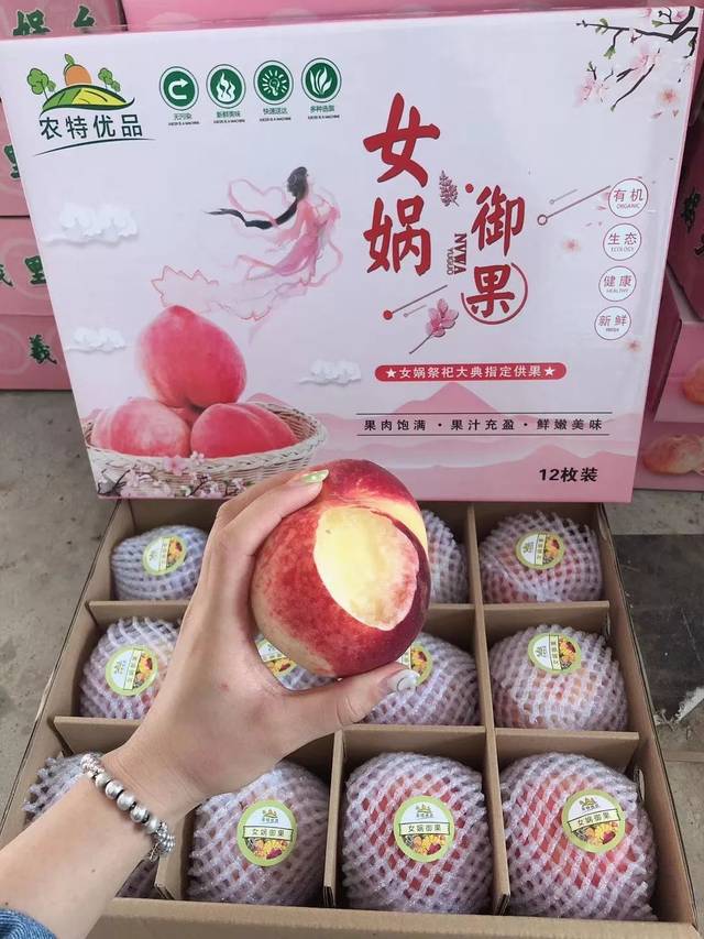 秦嘉倪 黑料 秦嘉论坛及自媒体平台