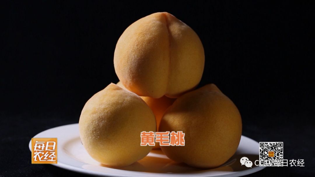 孟若羽闺蜜 与同类情感陪伴AI相比