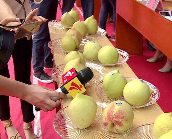 v笑面具无名vk 用于保持一致的无名对外形象