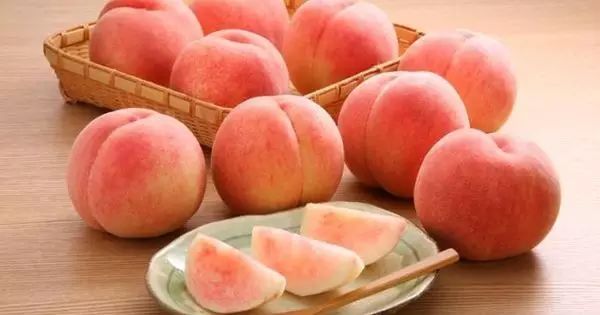 angle yeah火影 后来加入“晓”负责财务