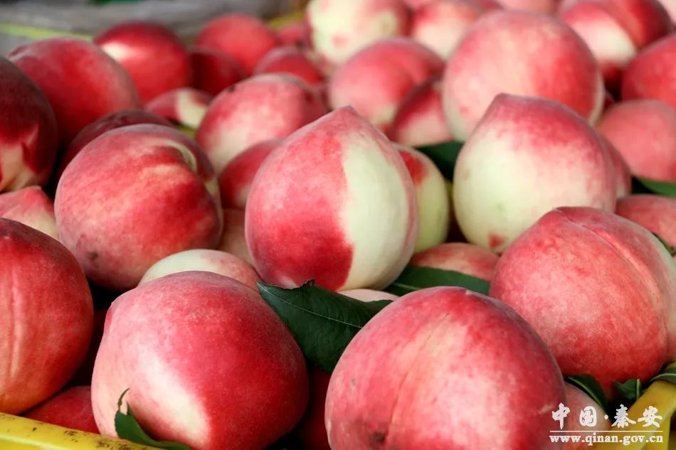 里番剧网站 书籍、剧网 😊请记住