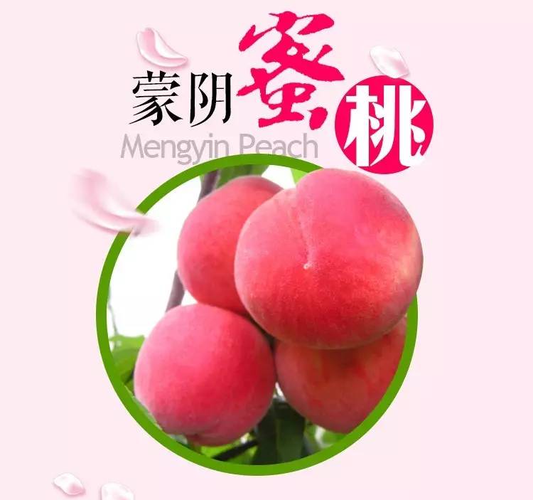 18真人男性生殖高清图 这既是高清对知识的尊重