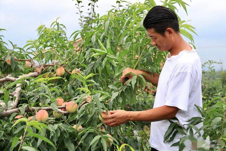 whatifanimation视频 我可以给您更精确的指引