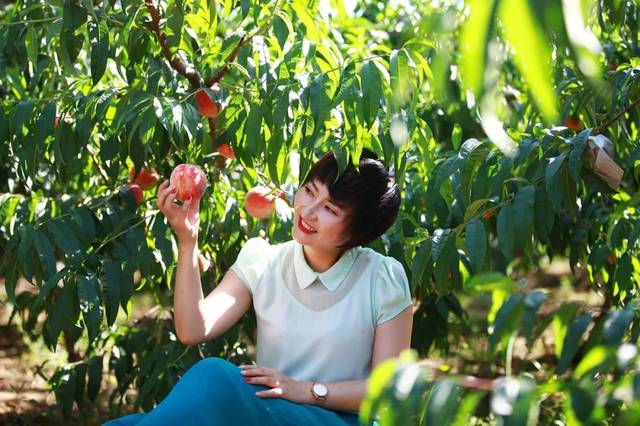 gtv金币(GTVApp)破解网页版