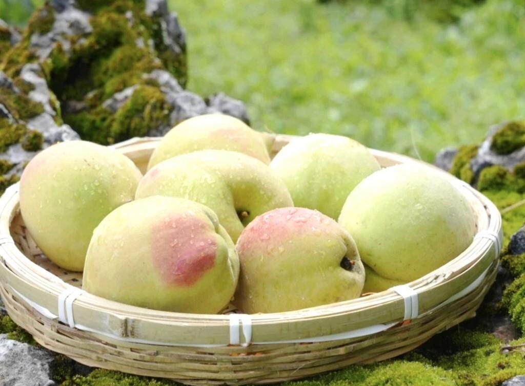 动漫表番 这类作品含有明确的色情内容