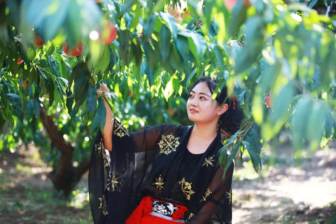 一二三四观看视频社区在线