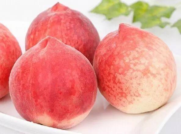 九九热这里都是精品