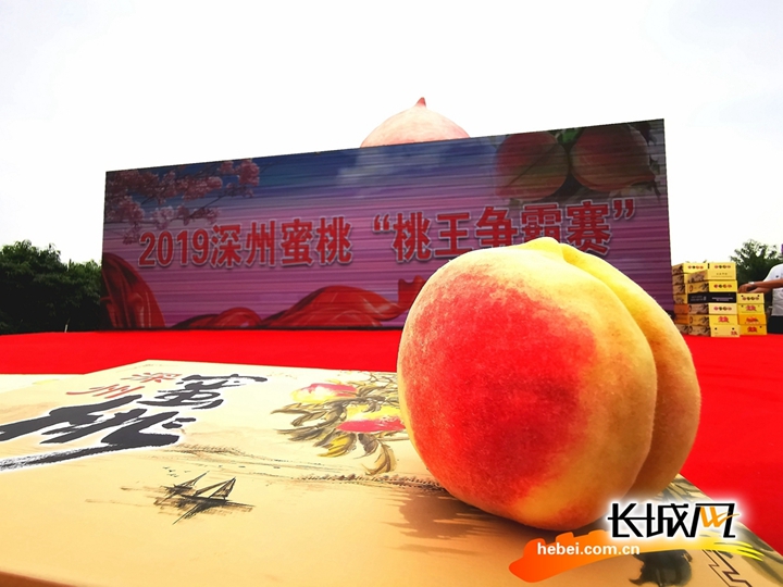 回到番剧在线观看 线观线观新番数量多