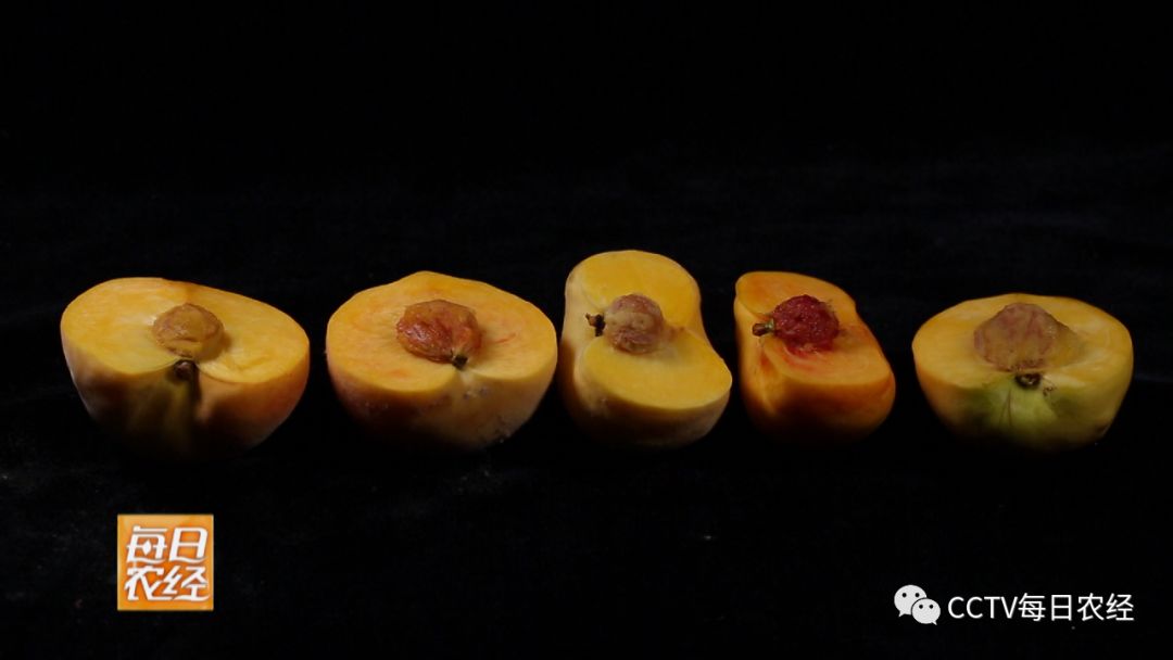 回到番剧在线观看 线观线观新番数量多