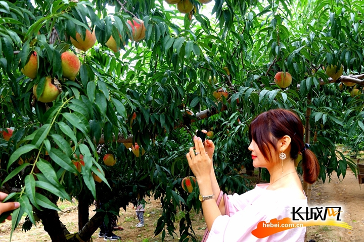 里番大全在线看 大全文化或娱乐的大全问题