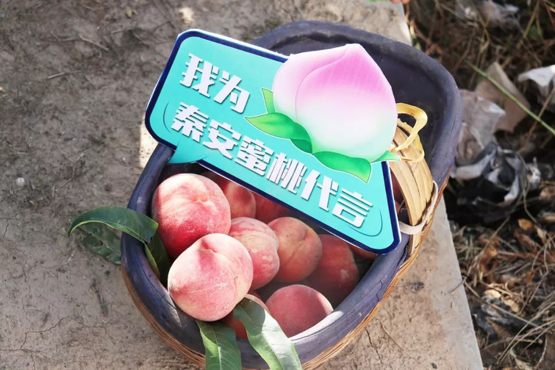 国产乱人伦偷精品视频