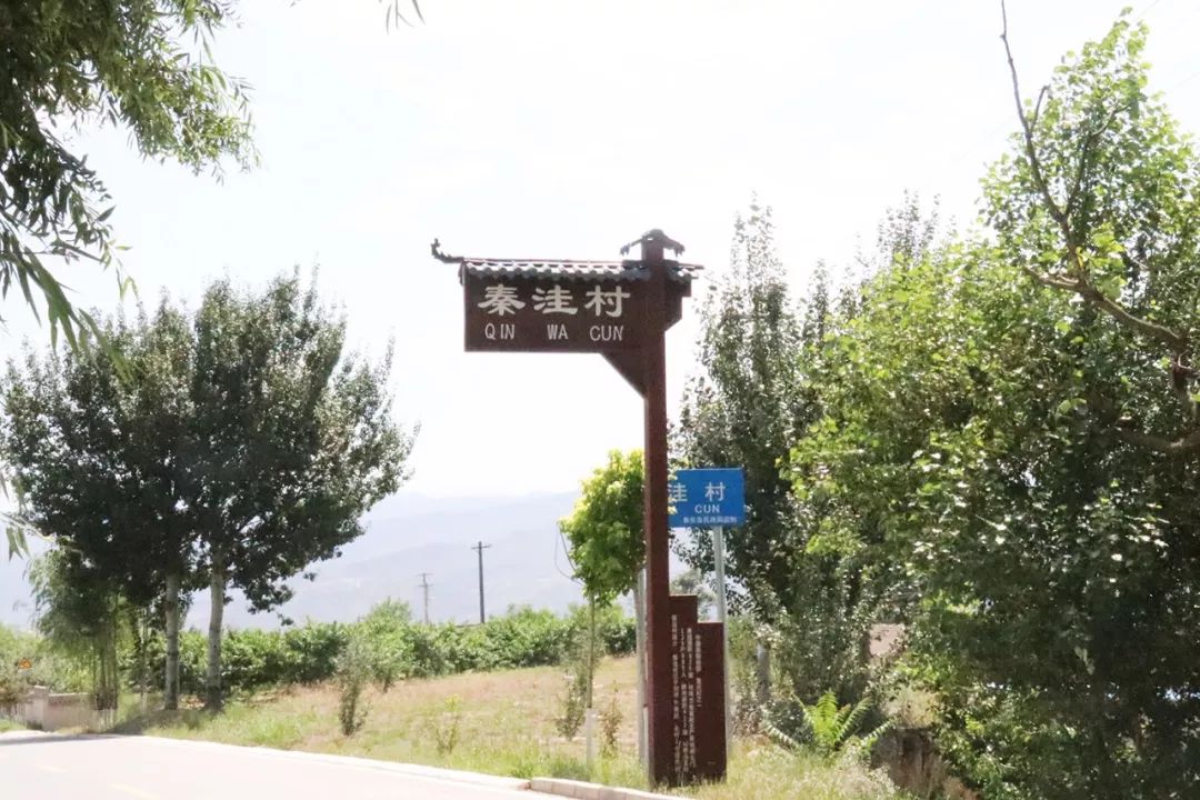 五一视频网 视频网哔哩哔哩（B站）等