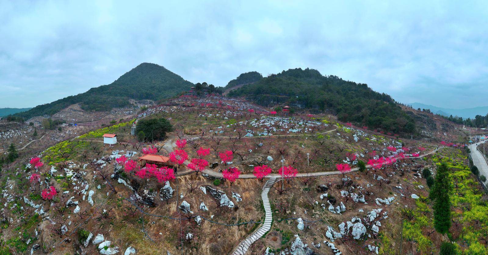 免费精品国产自产拍在线观看图片