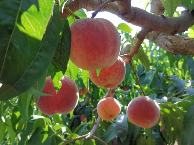 1204 xp 核 工 +厂 在 线 观 看