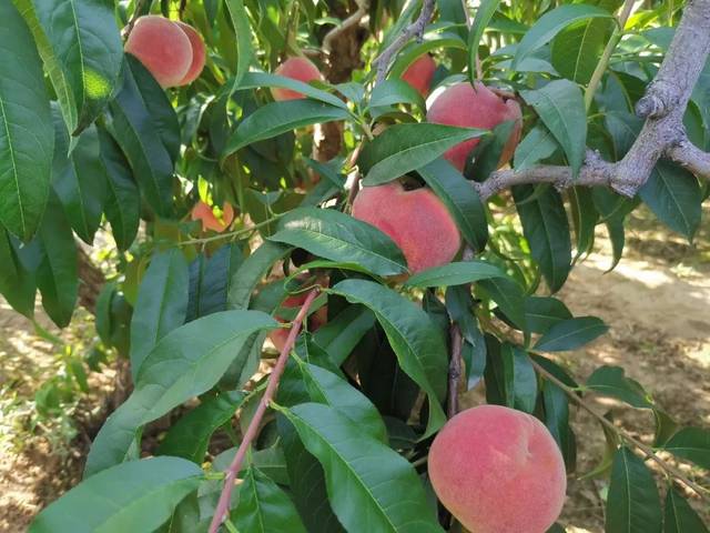 1204 xp 核 工 +厂 在 线 观 看 核工如果你有其他问题