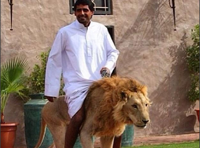 17297746 户外挑战者 11