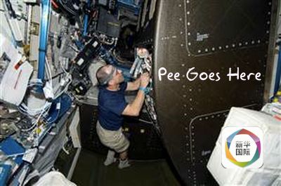 爱的白日梦电影