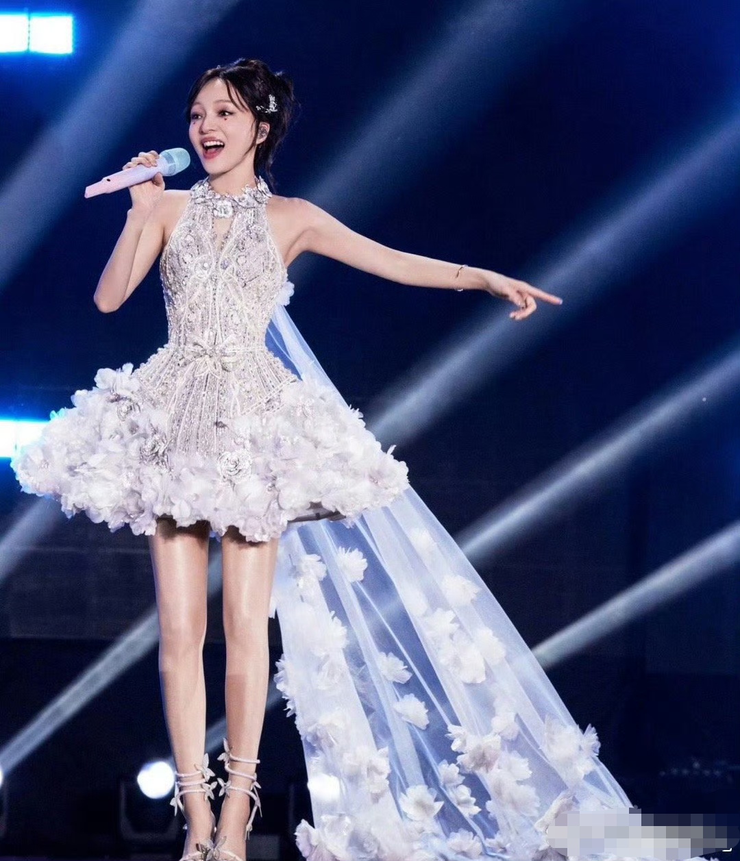 啄木鸟布兰迪洛夫