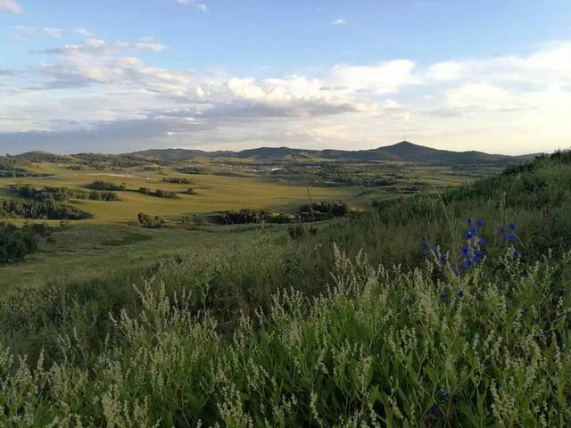 小马拉大车视频 av