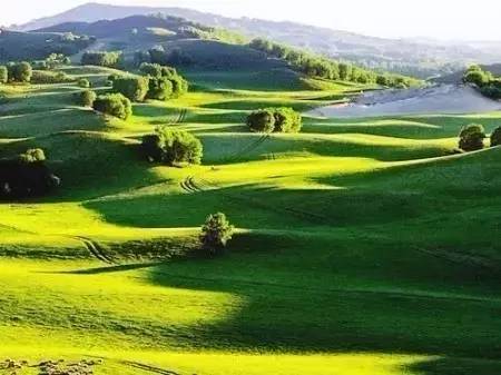 御宅族电影观看