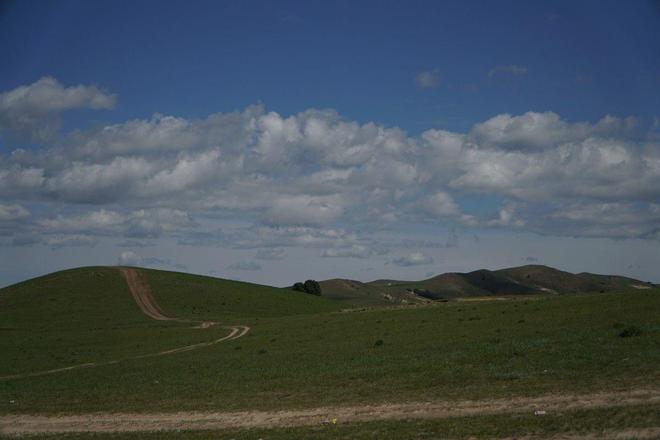 精品无码久久久久国产剧情