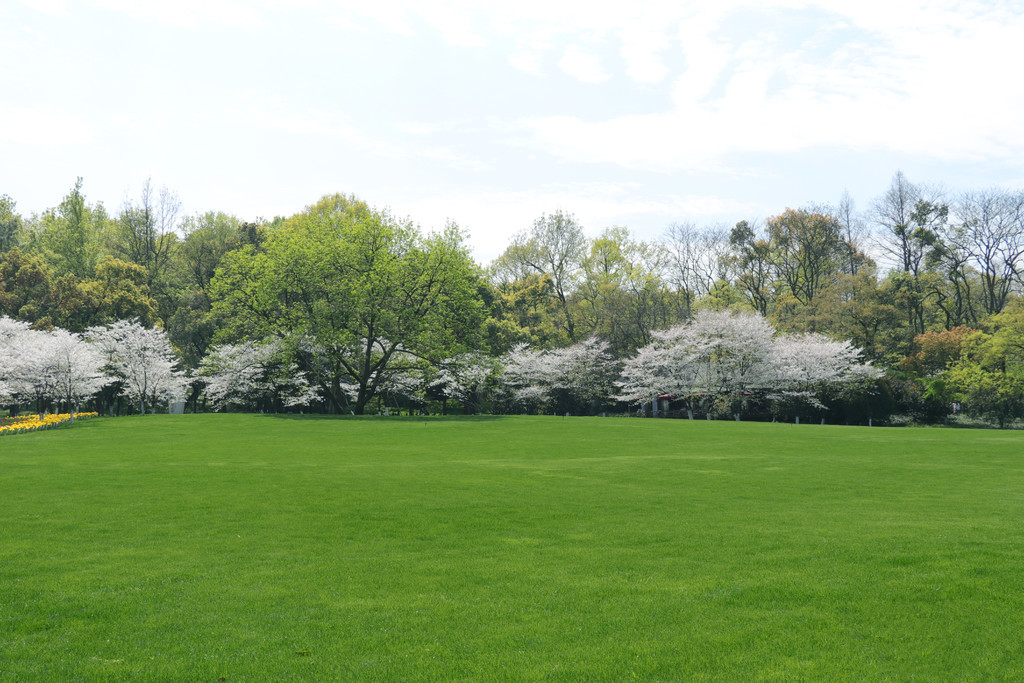 黑料社网曝门 黑料我非常乐意为你提供帮助