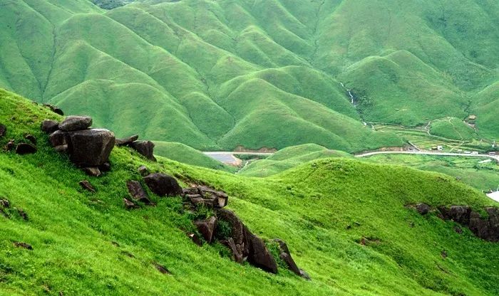 柠檬导航精品导航