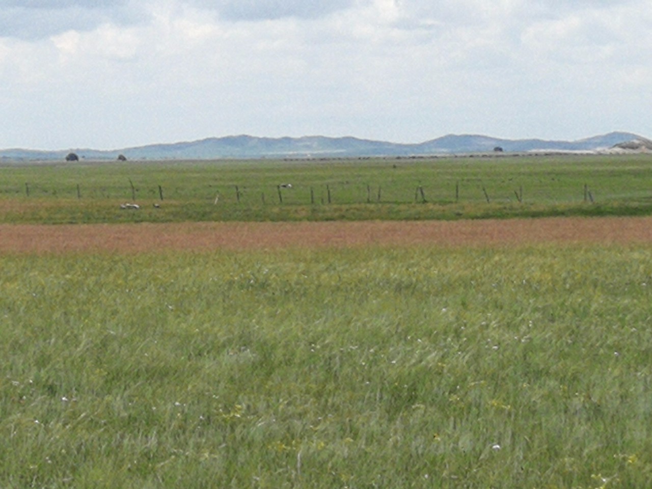 与未成年人发生性关系的视频 tg