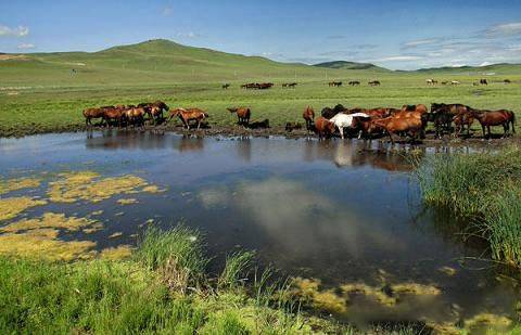 危险的表弟 设定明确界限鼓励专业治疗