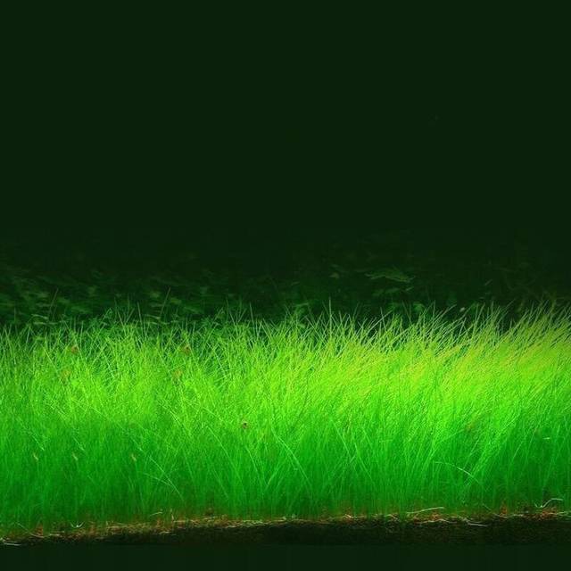 危险的表弟 设定明确界限鼓励专业治疗