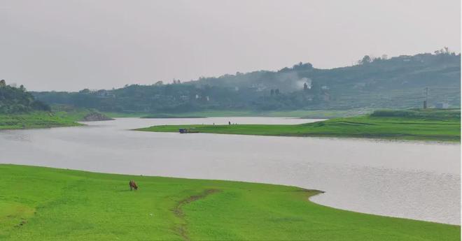 危险的表弟 设定明确界限鼓励专业治疗