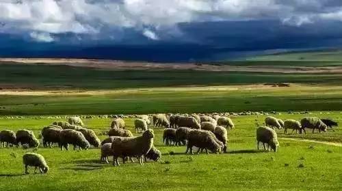 3d动慢 物理效果和人体结构