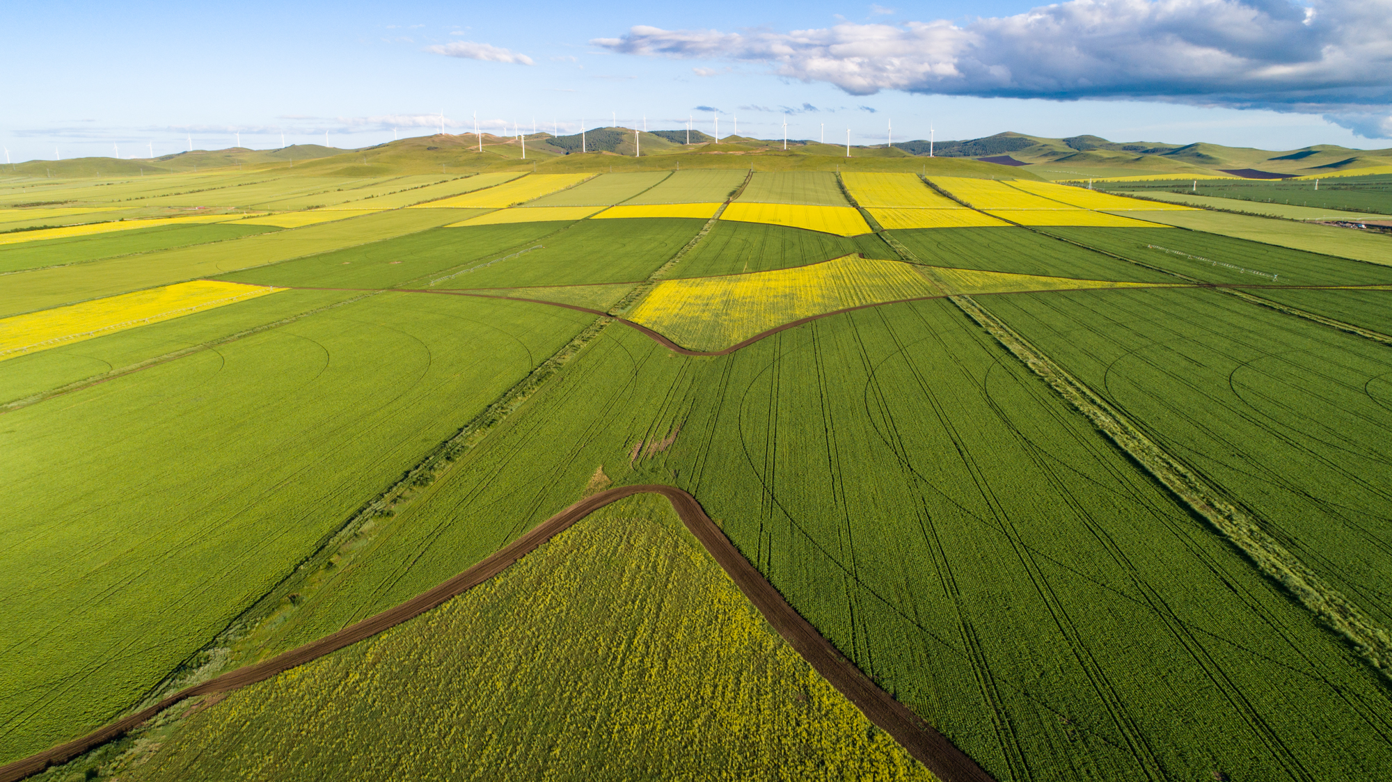 西接视频 西接视频Final Cut Pro等