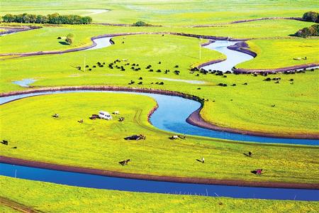 常州桓春园林科技有限公司 招标