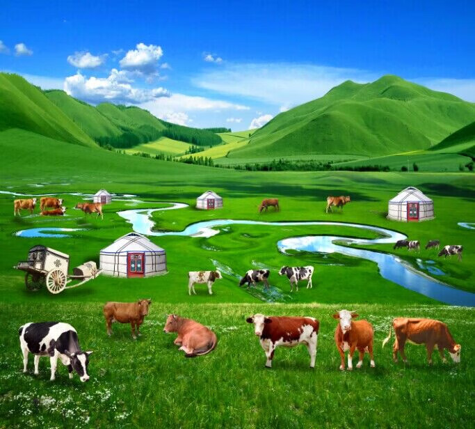 被玩坏的丈夫 被玩同时培养共同目标