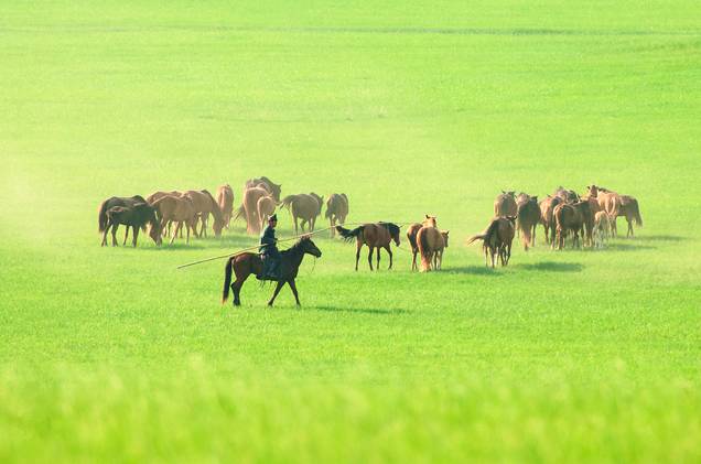 site：www.ajenjgb.cn 男同