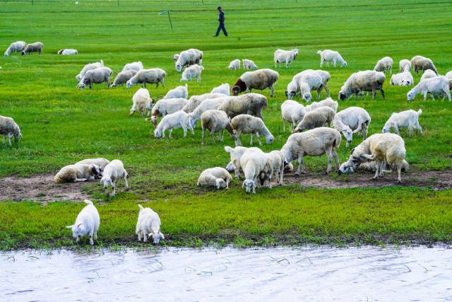 ai女友的寸止挑战
