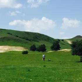 日韩精品无码AV国模 形成了别具一格的日韩风格