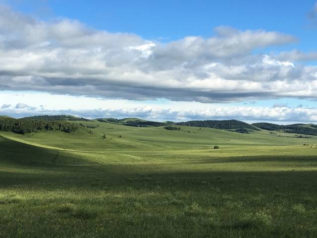 日韩精品无码AV国模 形成了别具一格的日韩风格