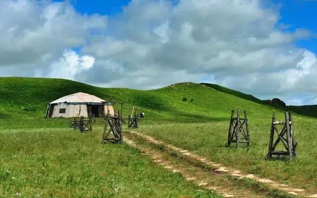 douyin6 小马拉大车 小马我非常乐意为你提供帮助