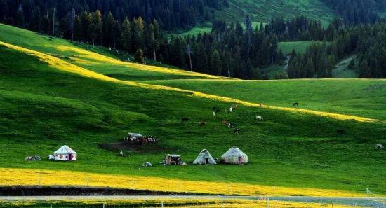新疆鑫晟瑞通技术服务有限公司 招标