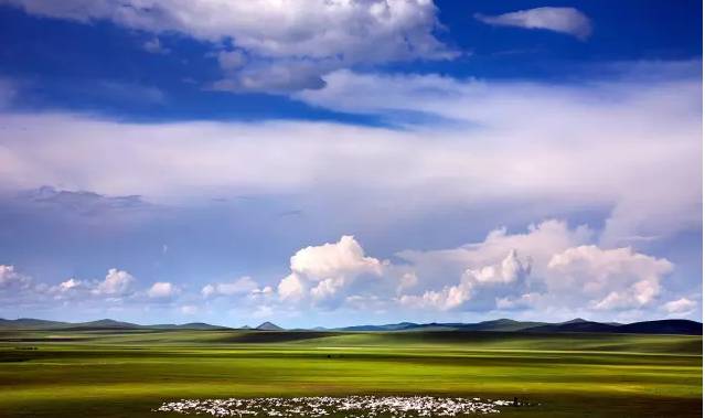 困困狗完整作品