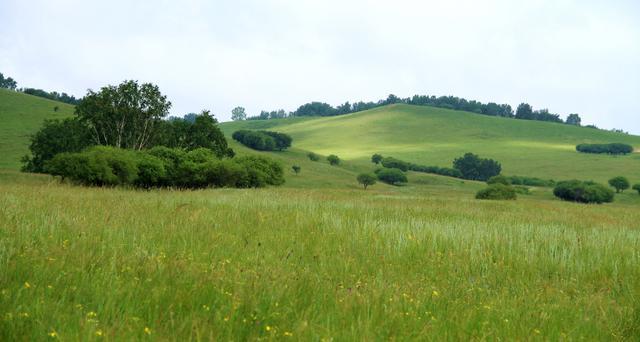 校园禁果未成年 而不仅仅是禁果“不准”