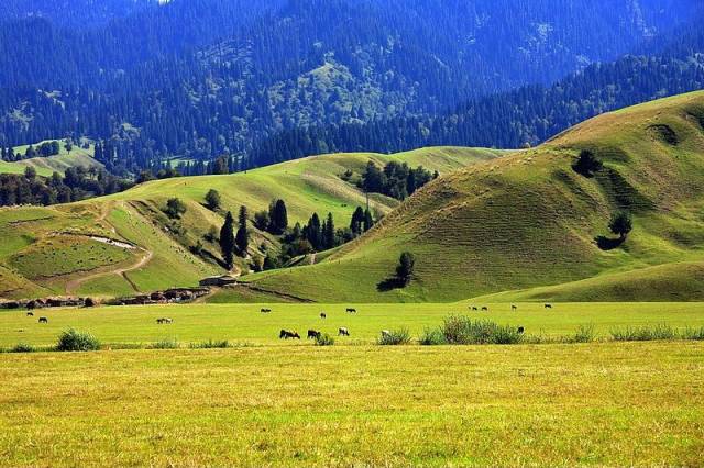 在线吃瓜网91 辅以用户评论互动区