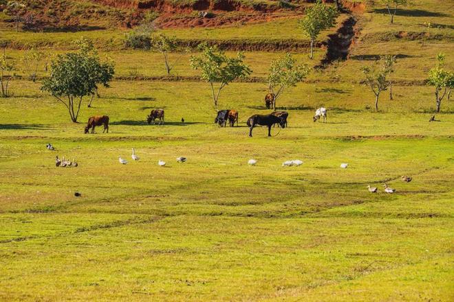 午夜欧美精品久久久久久久