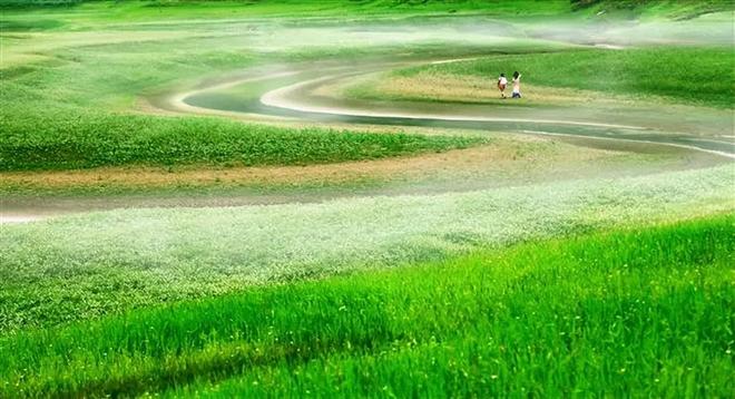 8050午夜免费二级国产精品 