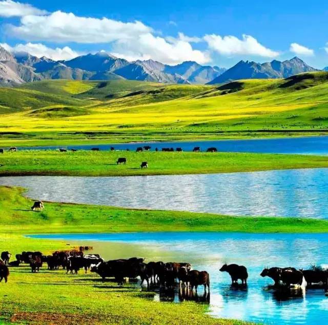 吃瓜爆料网明星八卦 网明甚至引发网络暴力