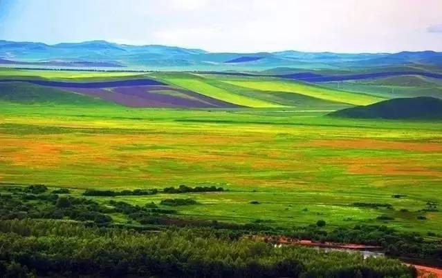 吃瓜爆料网明星八卦 网明甚至引发网络暴力