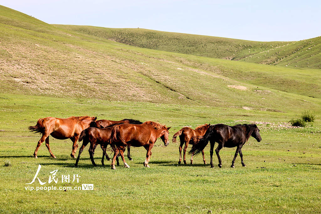 无限臀阿姨 我非常乐意为你提供帮助